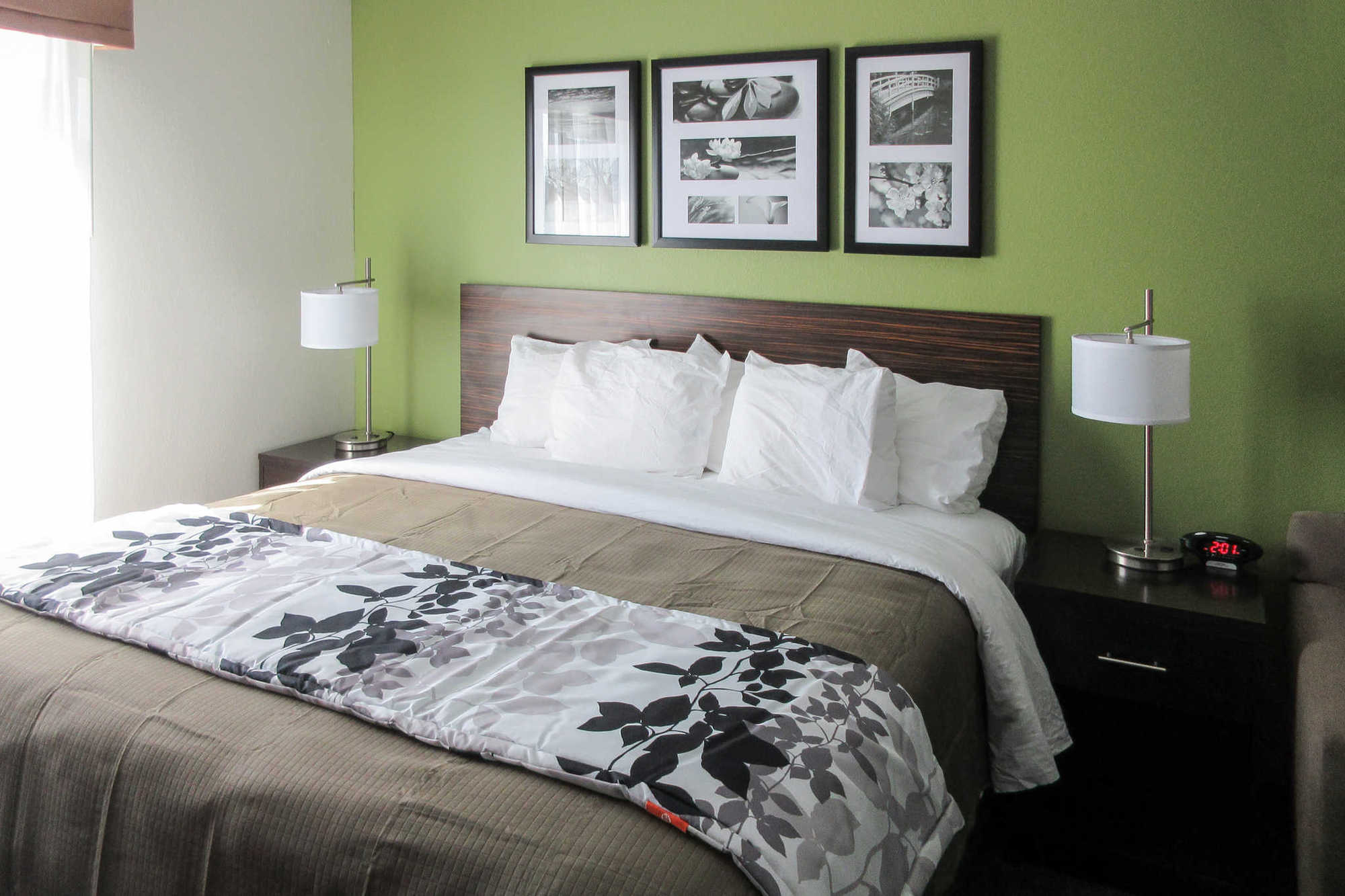 Sleep Inn & Suites College Station Phòng bức ảnh